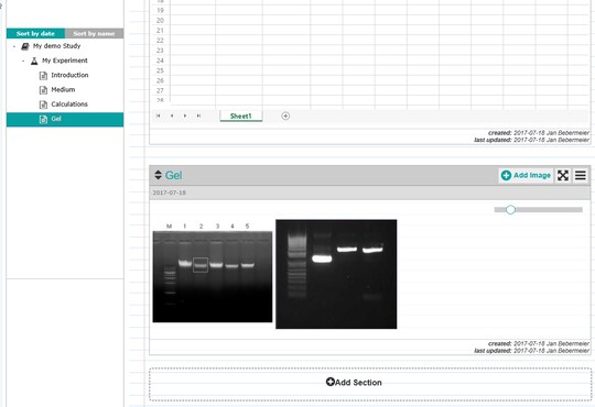 Screenshot of eLABJournal software, showing a gel photo within the electronic lab notebook