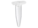 Safe-Lock Tubes 0.5 mL colorless, closed lid