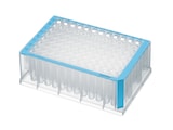 Deep well Eppendorf LoBind_REG_ plate with blue border