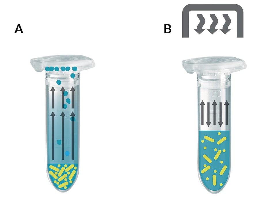 Eppendorf ThermoTop: Principle of built-in protection against sample condensation