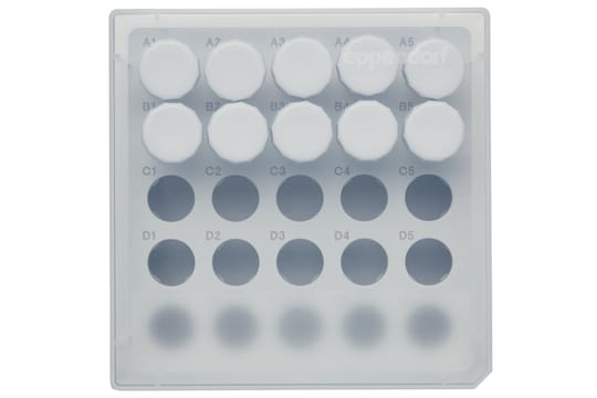 Topview on Eppendorf Storage Box for 5.0 mL vessels with screw cap for ULT frezeers