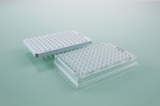 Two unpacked forensic DNA grade PCR plates
