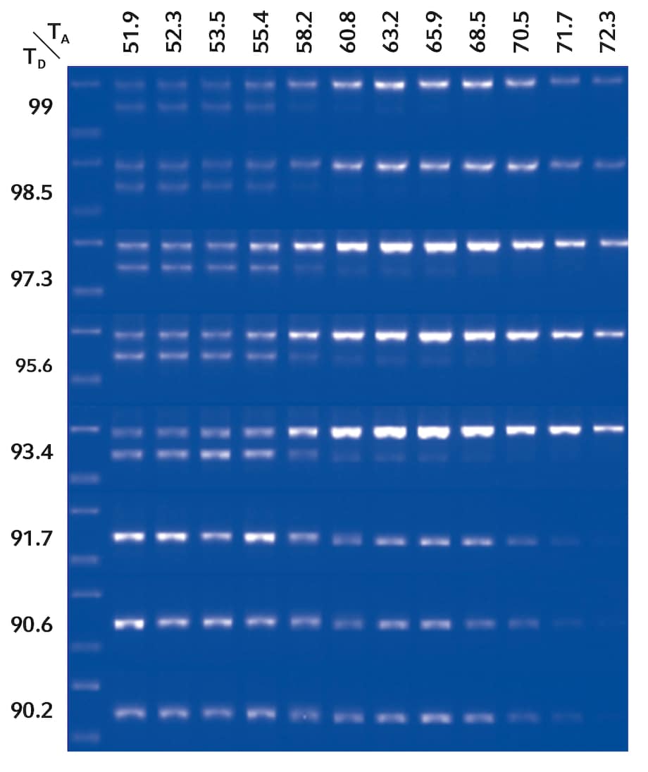 PCR Optimization of β-actin Gene with 2D-Gradient