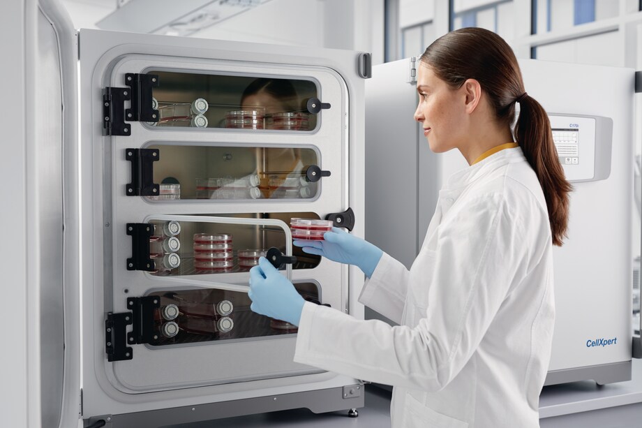 Lab technician with cell culture incubator CellXpert® filled with cell culture plates and flasks