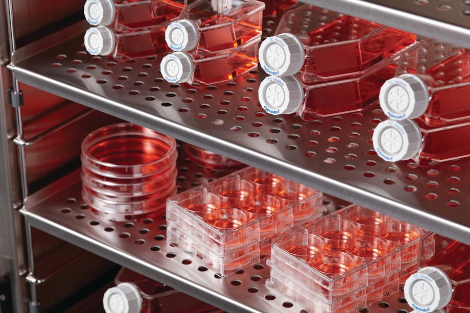 Cell culture flasks, dishes, and plates in cell culture incubator CellXpert®