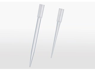 epT.I.P.S.® 384 micropipette tips from Eppendorf in different lengths and vertical position