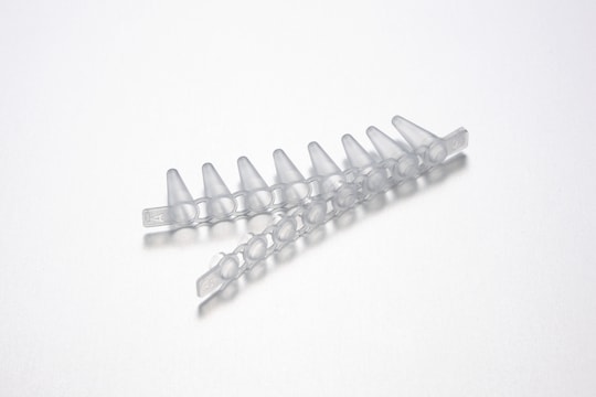 A strip of PCR tubes with a caps strip