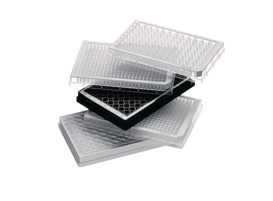 96-well microplates, stacked