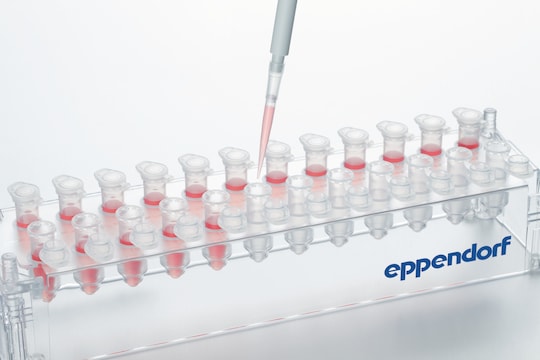 Tube rack filled with Eppendorf microtubes