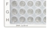 Small section of Eppendorf DNA LoBind® microplate