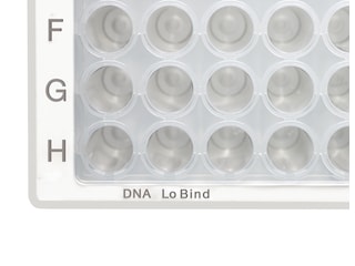 Small section of Eppendorf DNA LoBind_REG_ microplate