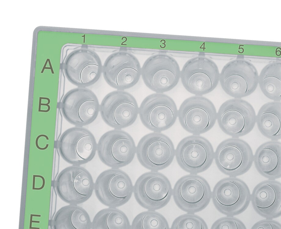 Eppendorf Deepwell Plate with green border - partial view