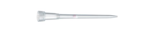 epDualf.TIPS SealMax, PCR cl./st., 0,5-20µL L, 46mm, light gray, 960tips