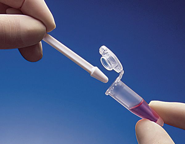 Micropestle, for resuspending pellets in 1.5/2.0 mL vessels, 10 pcs.