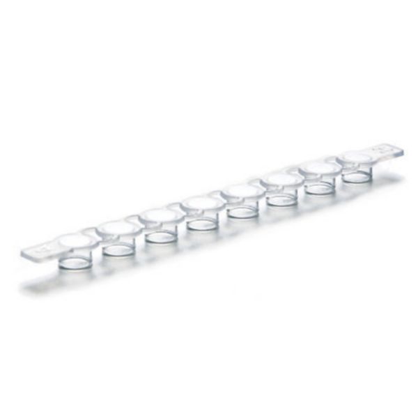 Cap Strips, 8-strips, flat, 120 pcs. (10 × 12 pcs.)