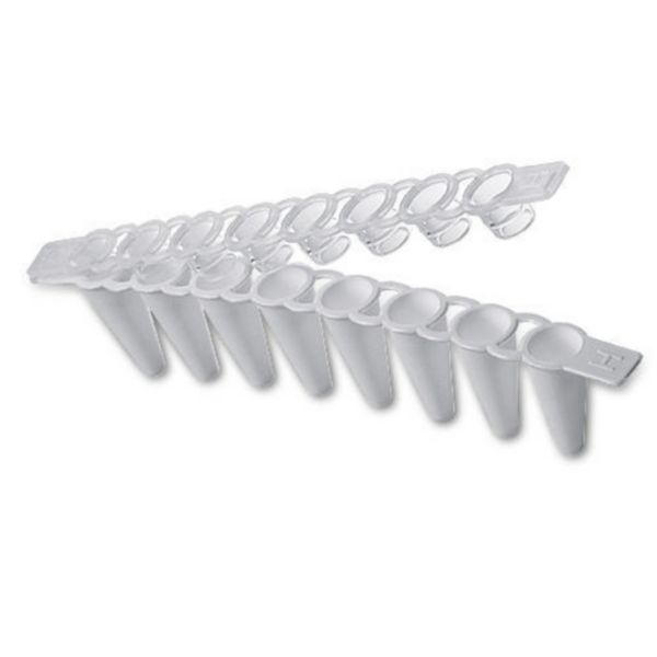 Masterclear® Cap Strips and real-time PCR Tube Strips, 120 pcs. (10 × 12 pcs.)