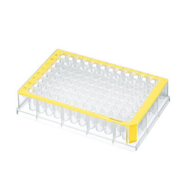 Deepwell Plate 96/500 µL