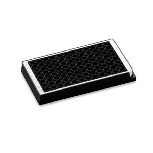 Eppendorf Microplate 96/U-PP, black wells, border color white, PCR clean