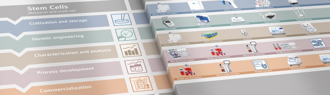 csm_key_visual_workflow_stem_cells_small___cmyk_b551bb9413
