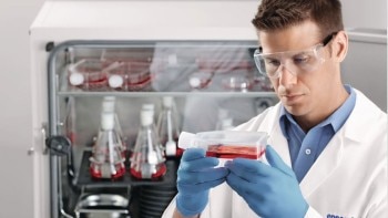 promo_h1_26_s41i_man_ccc_920x518