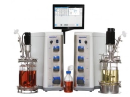 bioprocess