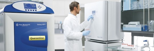 Cell Culture FAQ: What to do with a new cell line in your lab ...