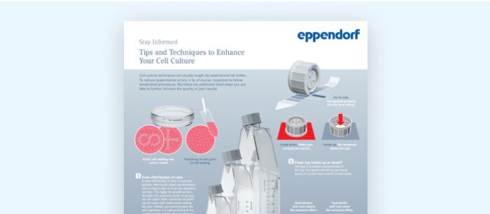 support_cell_culture_poster