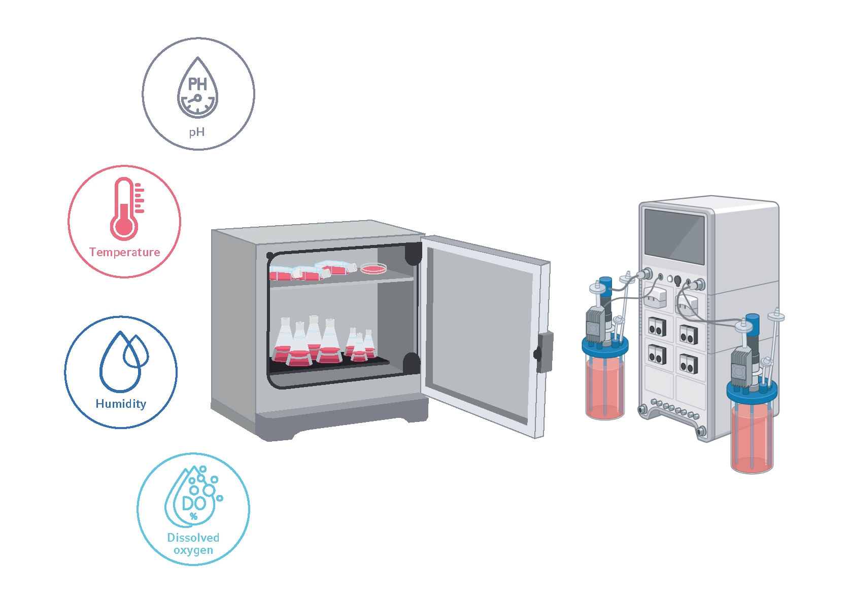 Influence of cell culture conditions on protein yields