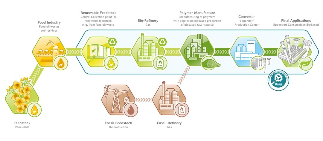 infographic of path from vegetable cooking oil to Eppendorf Consumables BioBased