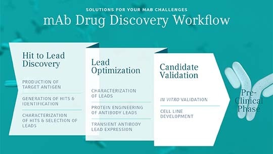 mAB discovery workflow