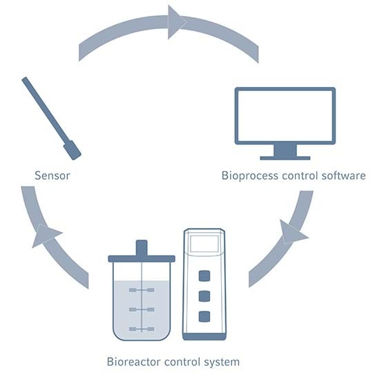 Bioprocess Monitoring and Control Eppendorf Canada