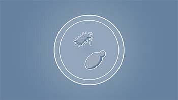icon_microbial_production_350px_x_197px