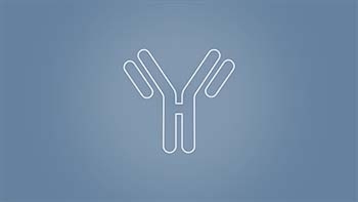 icon_antibody_350px_x_197px