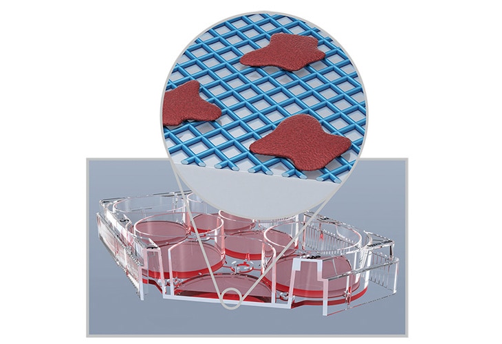 cccadvanced_surface