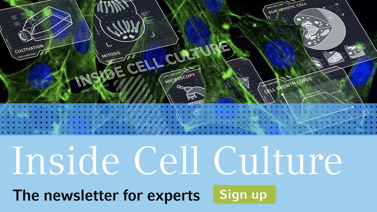 csm_banner_cellexperts_nl_2560x1440_42f086edfa