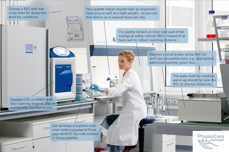 PhysioCare Concept® - Cell Culture ergonomics Scientist working at a safety cabinet for cell culture in an ergonomically suitable laboratory according to the workflows of the PhysioCare Concept®.