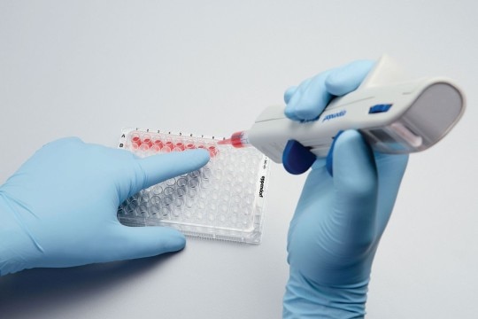 PhysioCare Concept® - Tubes Scientist uses electronic dispensing tool to fill sample aliquots into microtiter plate.
