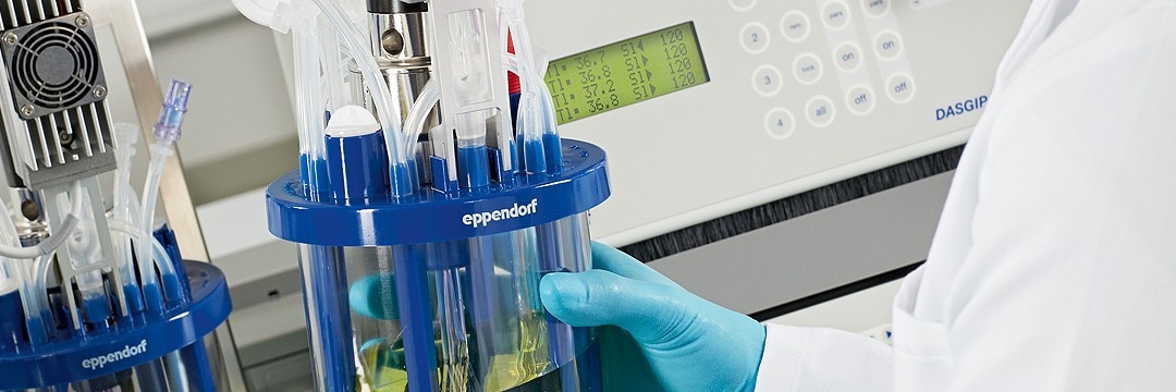 Bioprocess system ergonomic design. Scientist in the laboratory using vessels of Eppendorf designed for microbiology applicatio