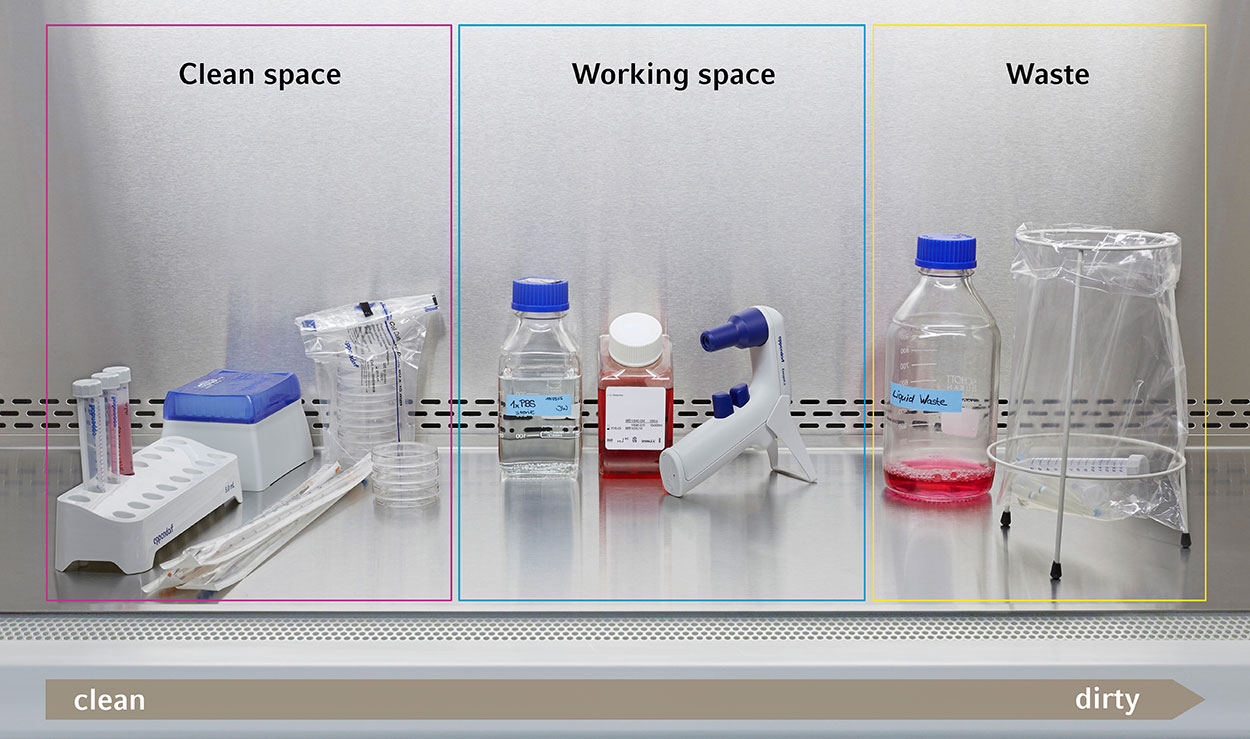 biosafety_cabinet_workspace_web