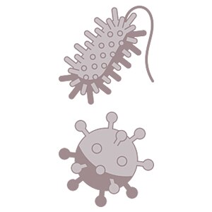 illustration_bacteria