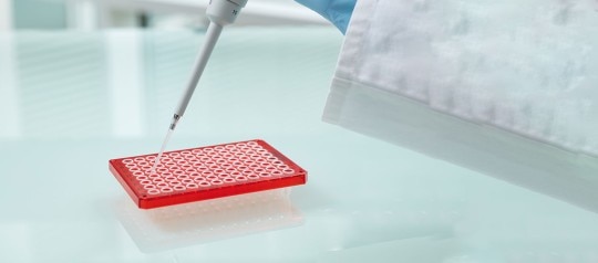 Which Reagents Do I Need to Replicate DNA in the Laboratory ...