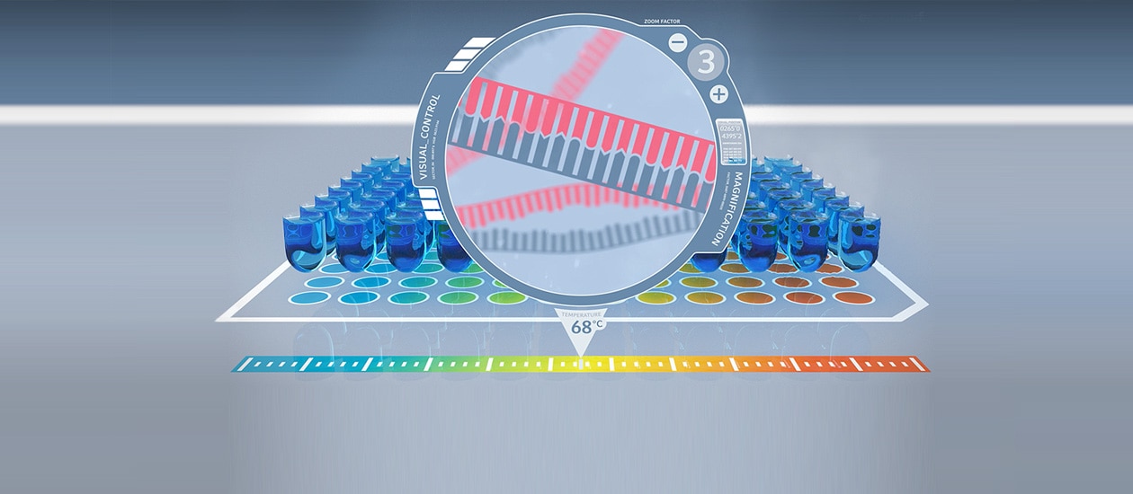 sh_amplification_principles_first_level_gradient_pcr