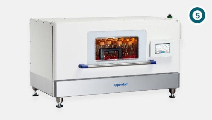 img_best_conditions_for_your_mammalian_suspension_cell_culture