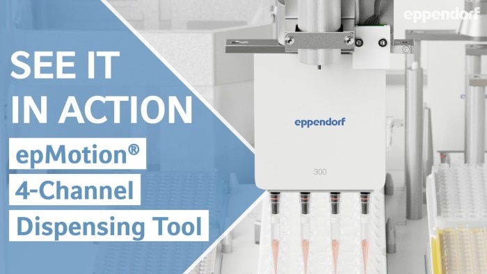 tnail_epmotion_2