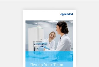 img_brochure_flex_up_your_team_3