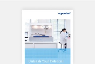 img_brochure_unleash_your_potential