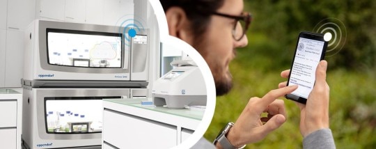 Receive notifications with VisioNize in case of a program end of your biological shaker S44i via email and SMS. Man using a phone to remotely monitor the temperature of the biological shaker in the laboratory.