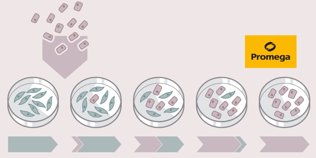 webinar_june9_2021_wt