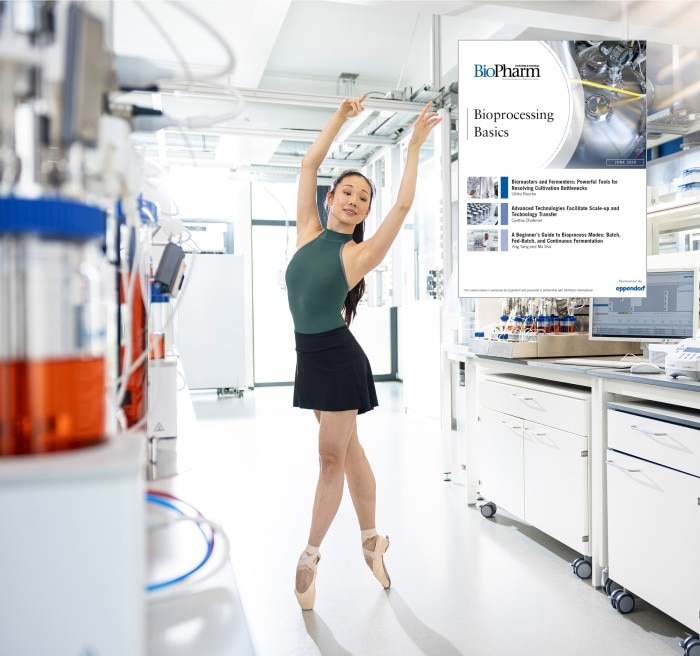 landingpage_ebook_ballerina