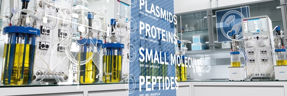 Bioreactor control systems for microbial production of proteins, peptides, plasmids, and small molecules